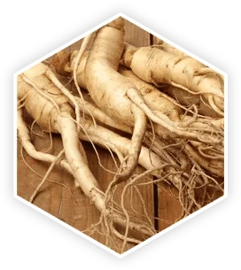 ProstaVive Panax Ginseng Ingredient